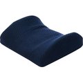 Carex Carex P10600 Lumbar Support Cushion FGP10600 0000